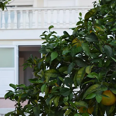 דירה Traditional In Nature Kouvalata