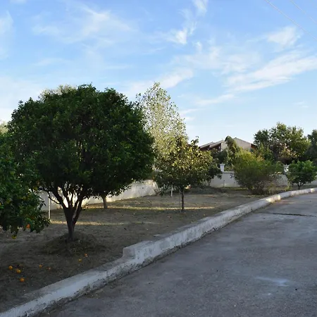 Traditional In Nature Kouvalata