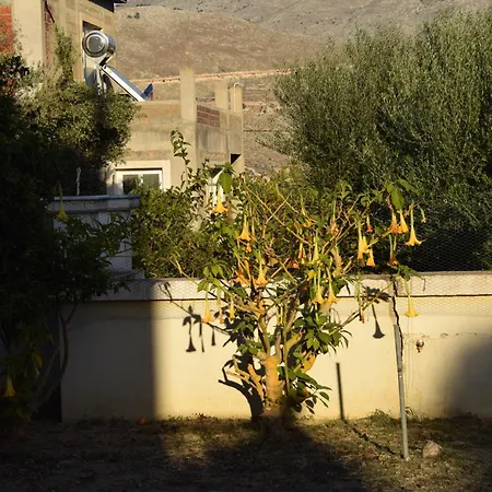 Traditional In Nature דירה