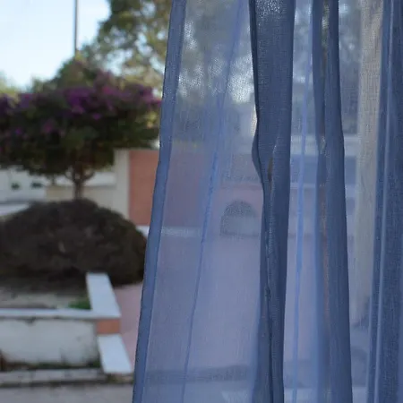 Traditional In Nature