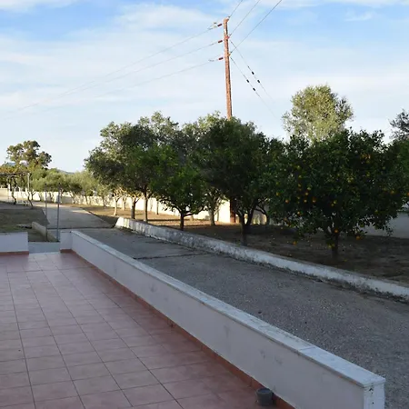 Traditional In Nature *